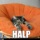 Illustration for article titled Halp needed